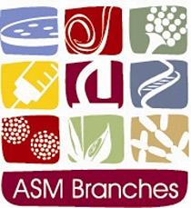 ASM Branch Logo