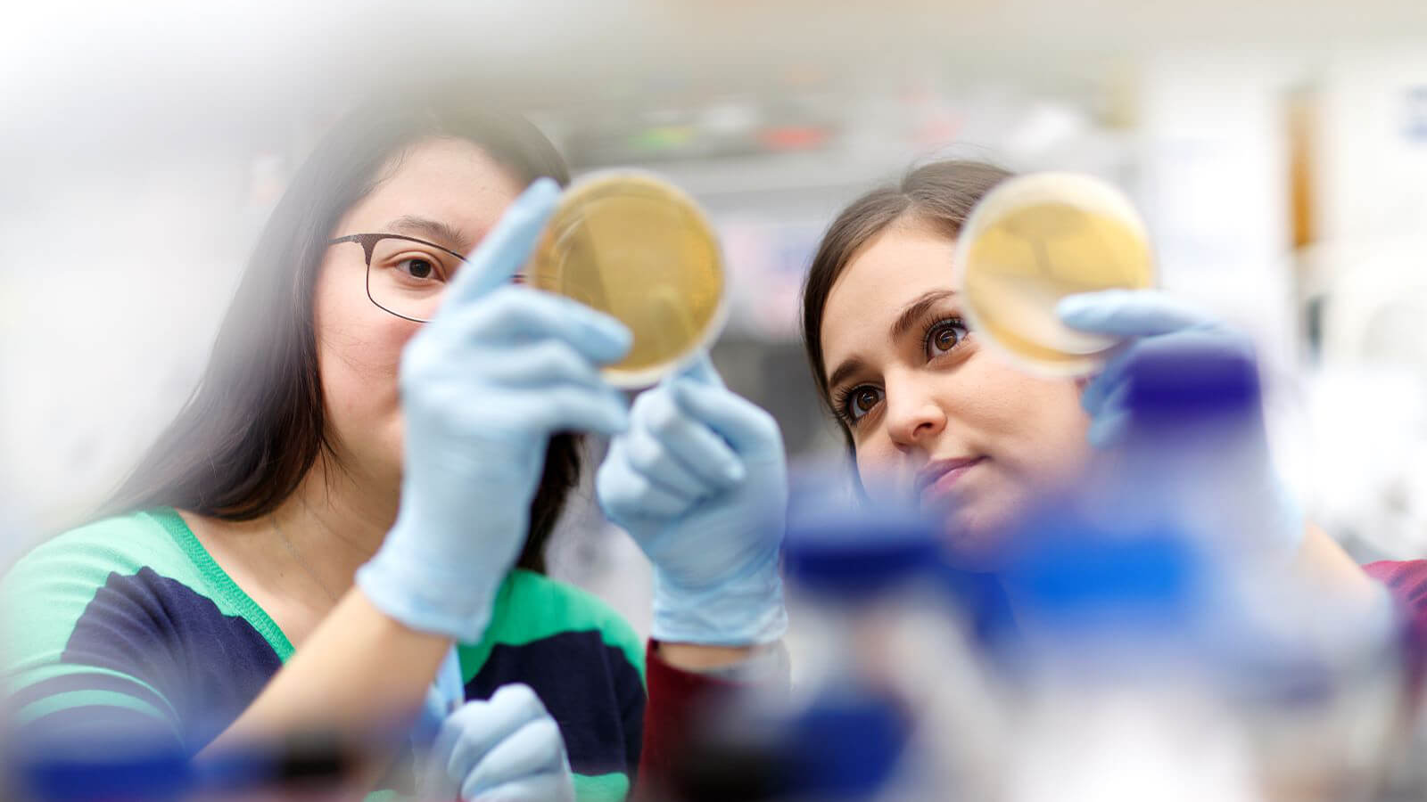 Students look into petri dish.