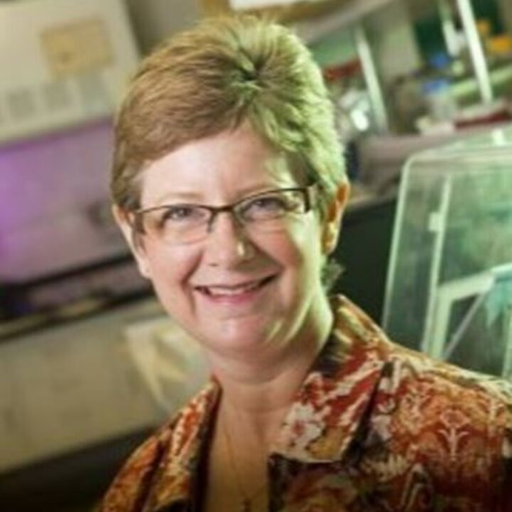 Avatar for Dr. Audrey Atkin