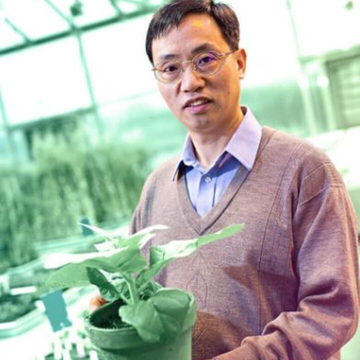 Avatar for Dr. Lirong Zeng