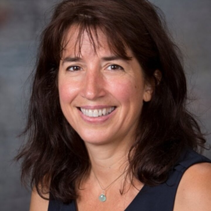 Avatar for Dr. Karin van Dijk